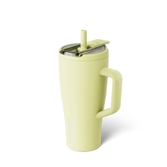 Era Flip 30oz | Prickly Pear - Clean Choice
