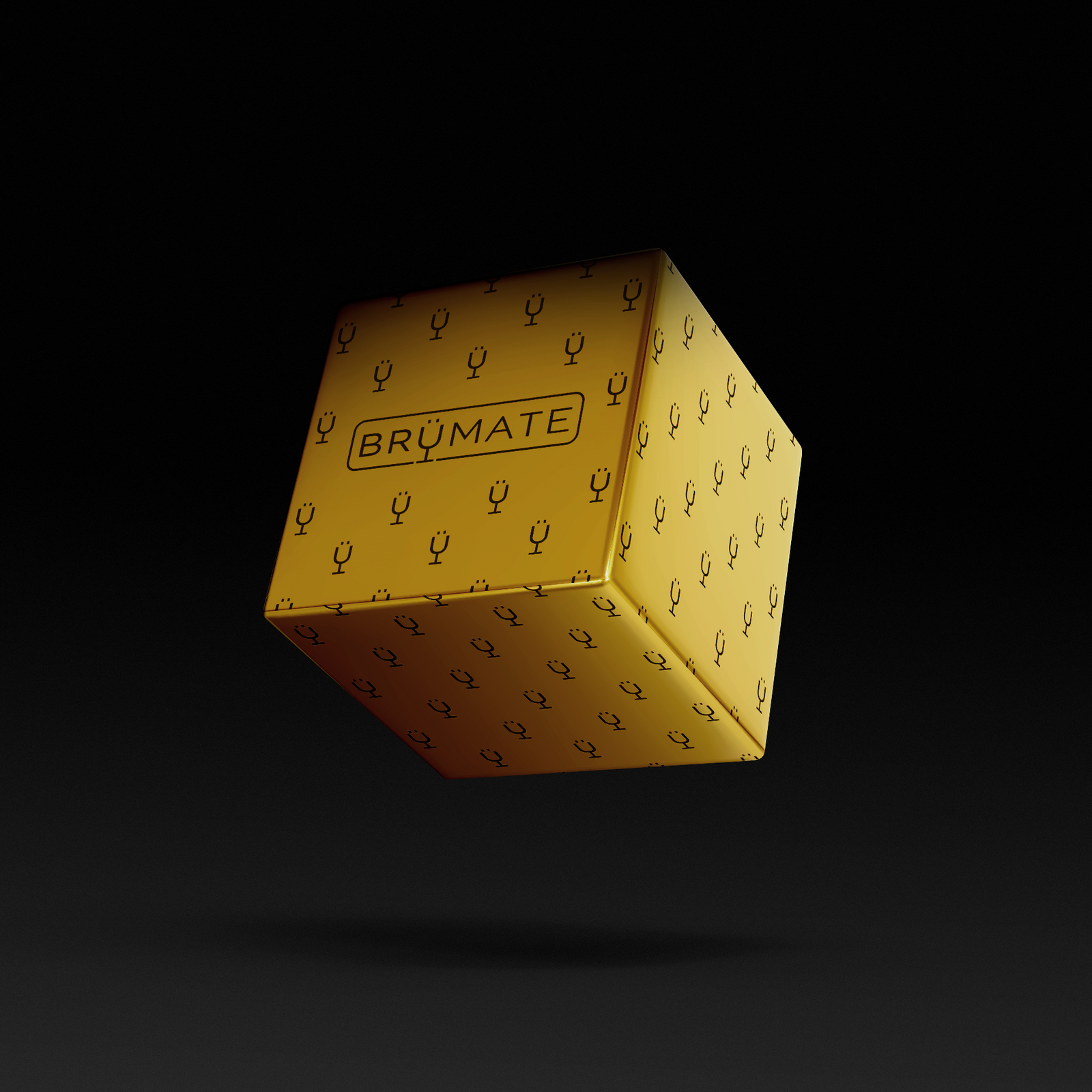 Premium Mystery Item ($39-70 Value) - Active Ready