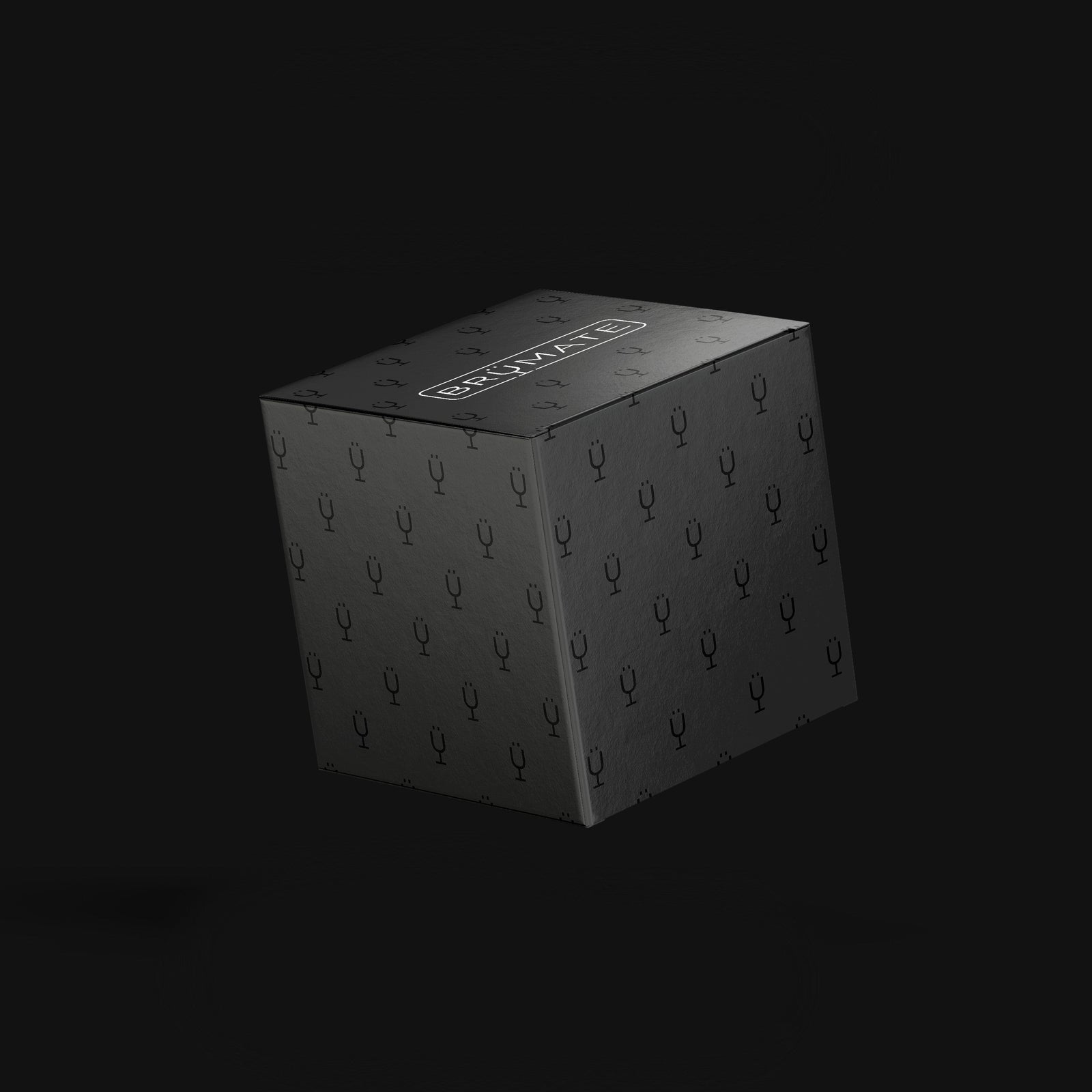 Mystery Item ($24-49 Value) - Active Ready